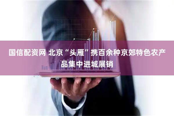 国信配资网 北京“头雁”携百余种京郊特色农产品集中进城展销