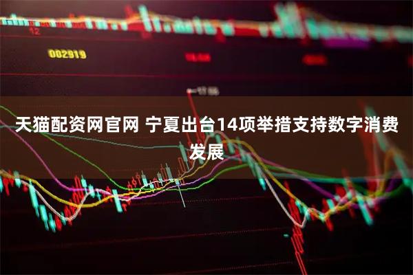 天猫配资网官网 宁夏出台14项举措支持数字消费发展