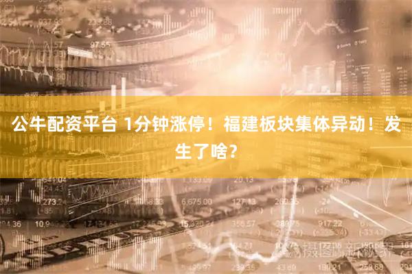 公牛配资平台 1分钟涨停！福建板块集体异动！发生了啥？